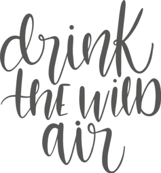 drink-the-wild-air-summer-beach-free-svg-file-SvgHeart.Com