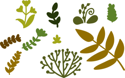 natural-elements-leaves-greenery-free-svg-file-SvgHeart.Com