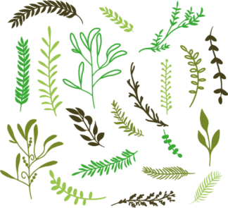 nature-bundle-leaves-free-svg-file-SvgHeart.Com