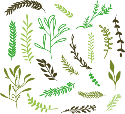 nature-bundle-leaves-free-svg-file-SvgHeart.Com