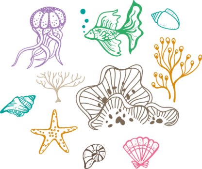 sea-elements-bundle-star-fish-seashell-corals-jelly-fish-free-svg-file-SvgHeart.Com