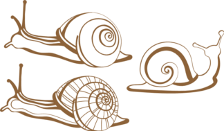 snails-bundle-free-svg-file-SvgHeart.Com